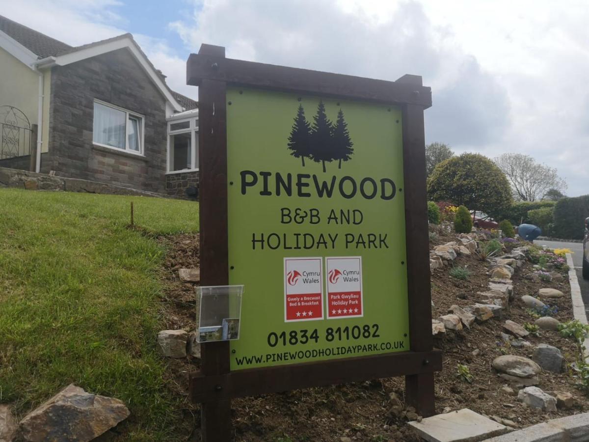 Pinewood B&B Saundersfoot Zewnętrze zdjęcie